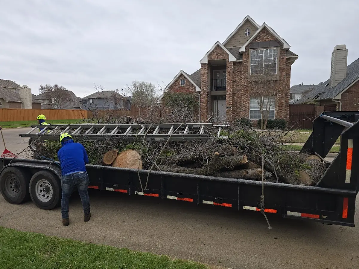 Expert Lot Clearing with proper safety equipment in Champlain